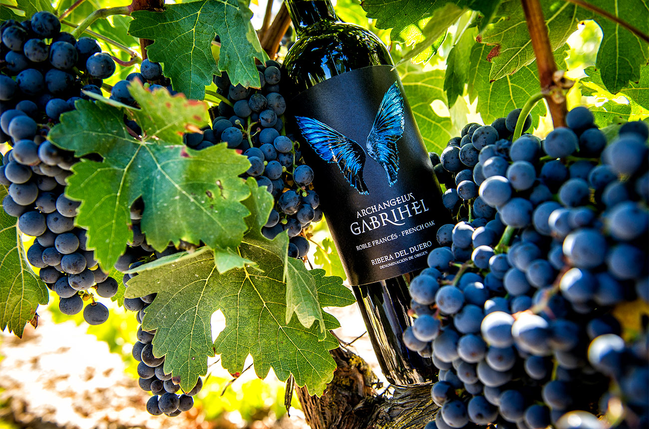 Archangelus Gabrihel French Oak