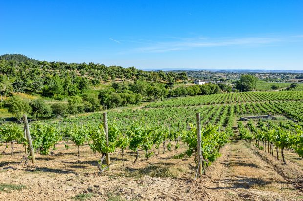 Quinta da Fonte Souto