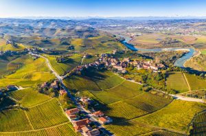 Barbaresco-Terroir