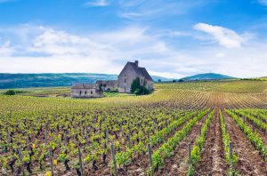 2018 Côte de Beaune