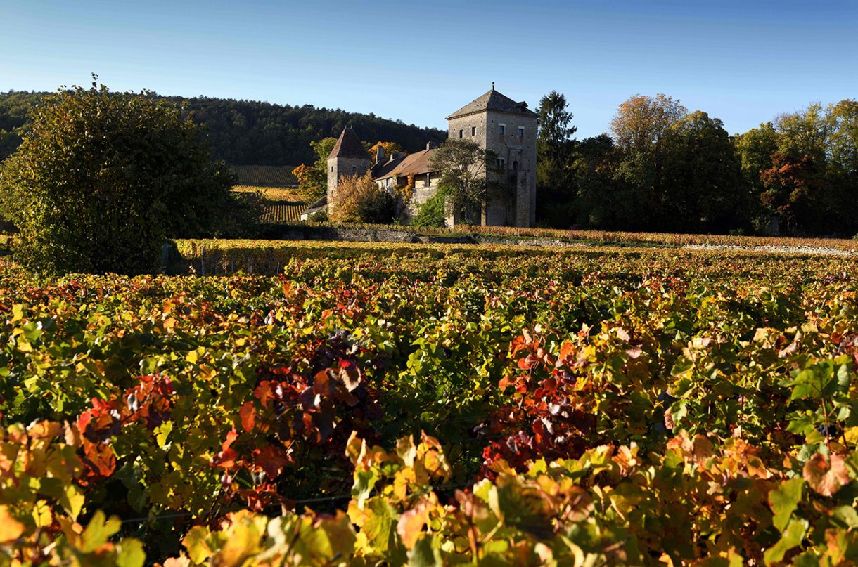 Best Burgundy 2018 Top scoring wines Decanter