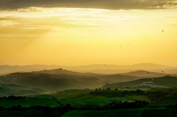 . Tuscan landscape. Le Serre Nuove dell'Ornellaia