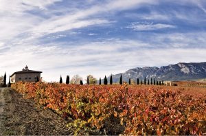 La Rioja Alta, Torre de Ona vineyard