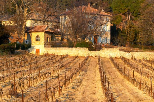 chateau de saint cosme