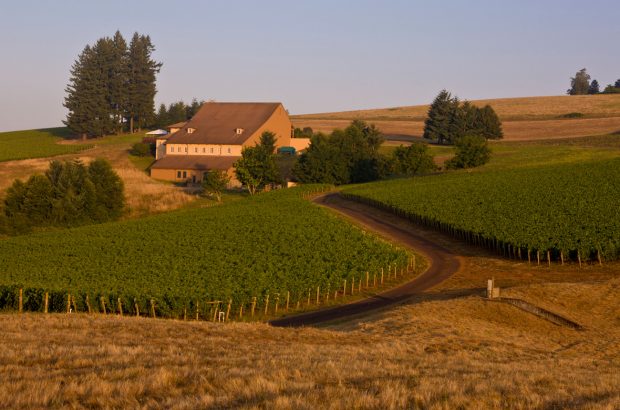 Domaine Drouhin Oregon