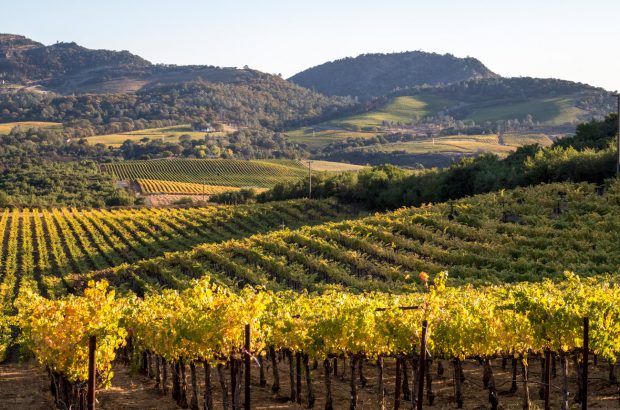 Silver Oak Jump Rock