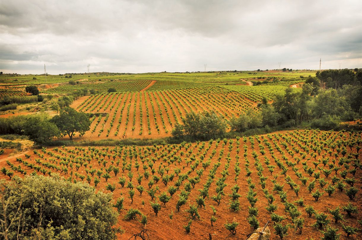 UtielRequena Requena Archives Decanter