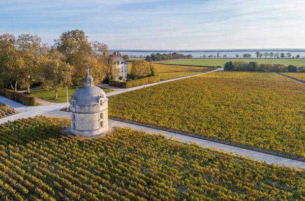 bordeaux 2017 wines