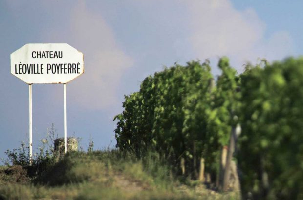 St-Julien 2017 wines