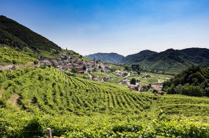wine tour ideas