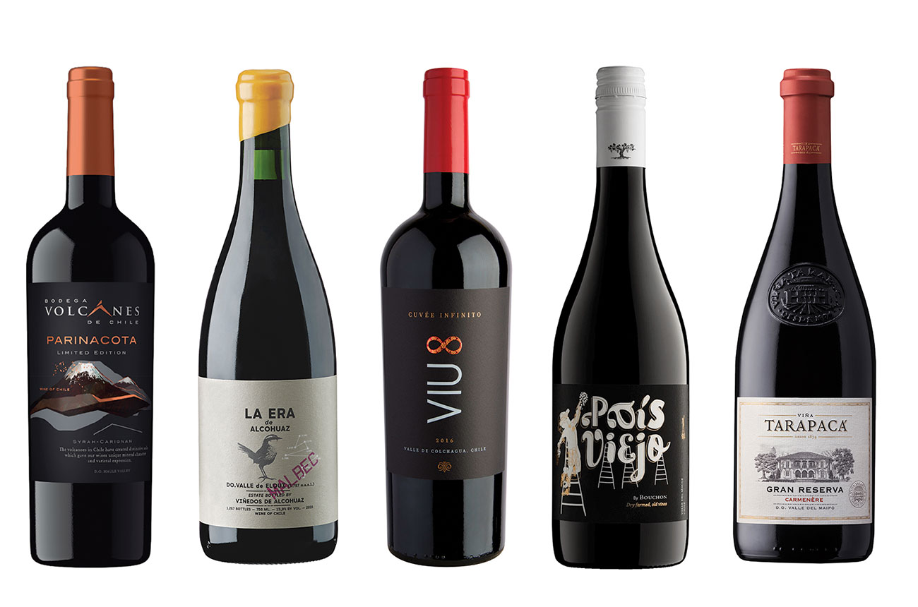 chile wines