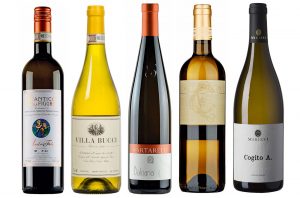 Verdicchio wines