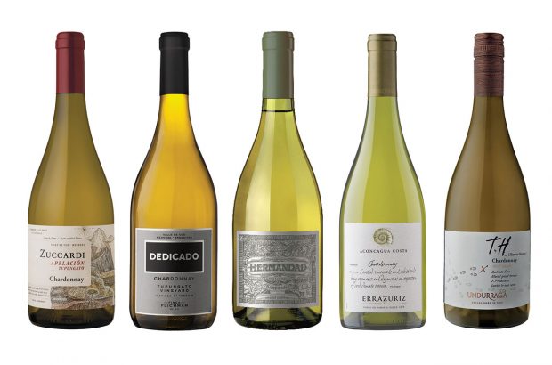 best south american Chardonnay