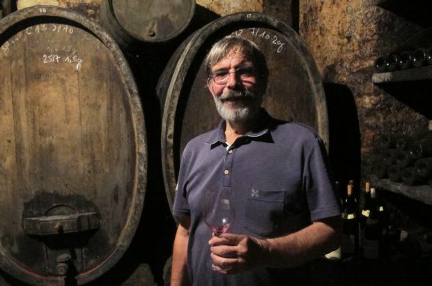 Pierre Clape, Domaine Clape Cornas