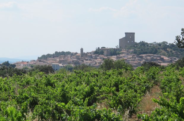 Château de Beaucastel Hommage à Jacques Perrin