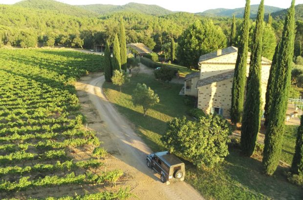 Mirabeau rosé wines