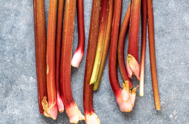 rhubarb wine