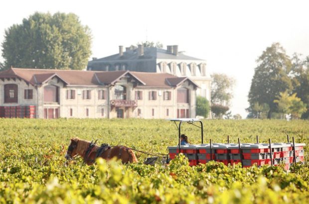 Château Pontet-Canet