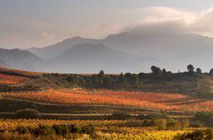 Sierra de Cantabria Ramon Bilbao Vineyards