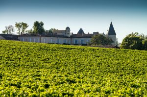 Chateau Mouton Rothschild, Pauillac