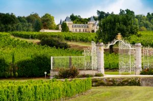 Best Fronsac 2019 wines, Chateau de la Dauphine, Fronsac