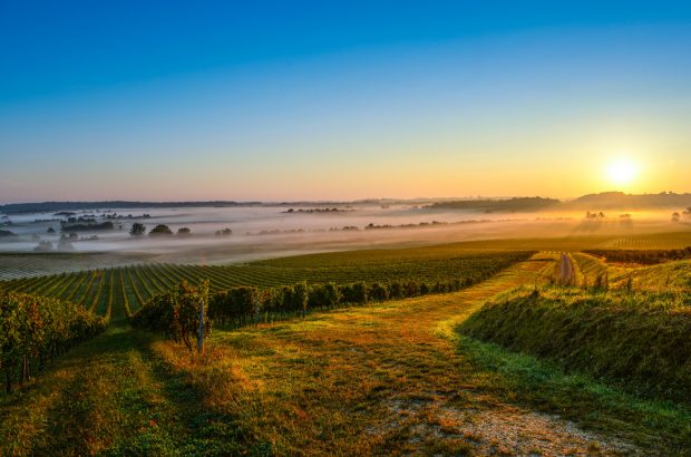 Médoc 2019 wines, Medoc Bordeaux