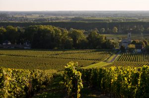 Sauternes and Loupiac vineyards