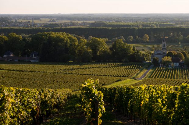 Sauternes and Loupiac vineyards