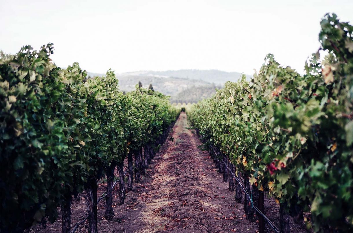 Six Napa reopened wineries to visit Decanter