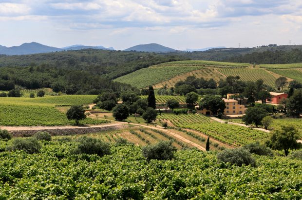 Chateau La Mascaronne