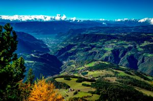 Northern Italian Wines