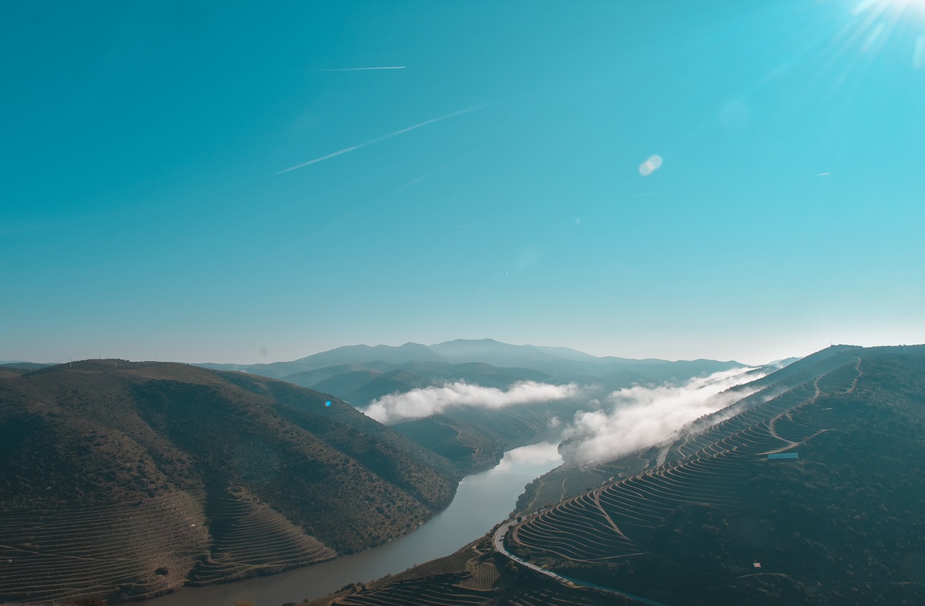 Spotlight on Douro: 90+ point reds from DWWA 2019 - Decanter