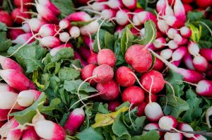 Radish champagne