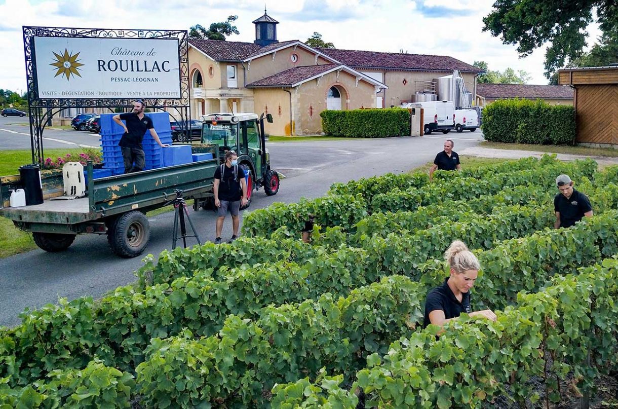 Bordeaux 2020 white wine harvest starts early Decanter