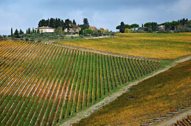 Antinoris 2017s Tignanello 2017 & Solaia