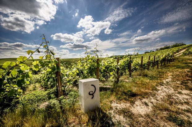 Rendez-Vous de Billecart-Salmon