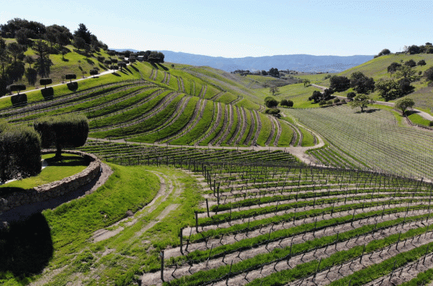 Santa Barbara County Syrah – Ballard Canyon AVA