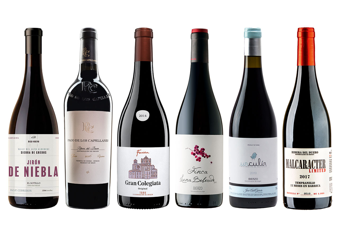 Castilla y Leon wines 2