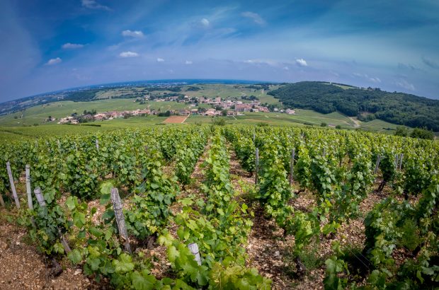 Domaine Thibert Pouilly Fuisse