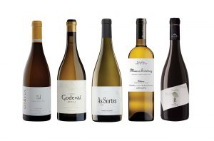 Galicia wines