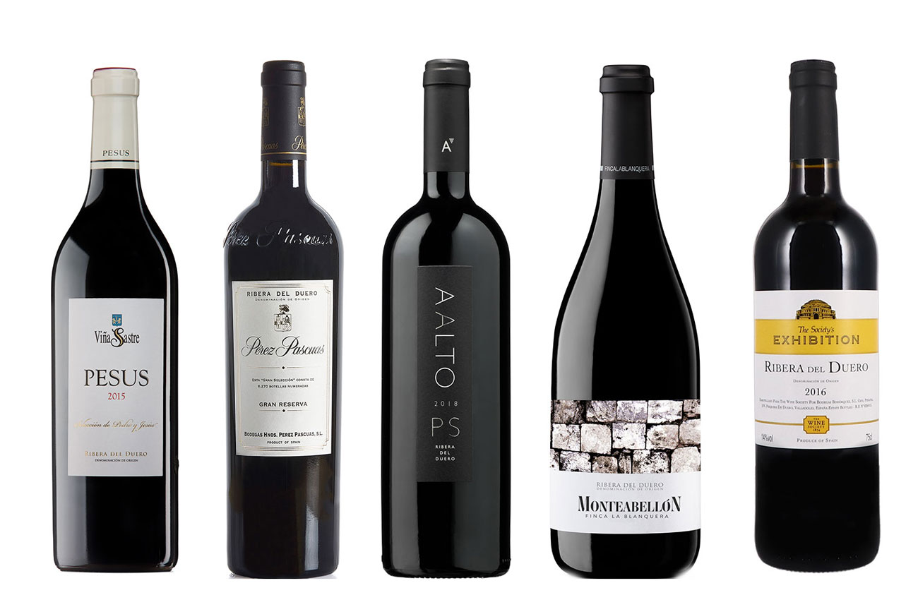 Ribera del duero wines