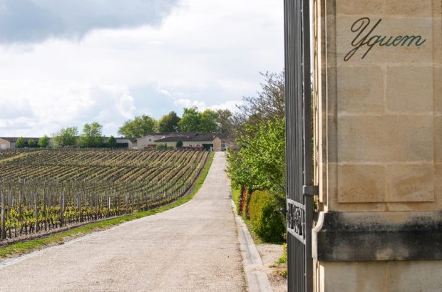Chateau d'Yqueum, Place de Bordeaux wines