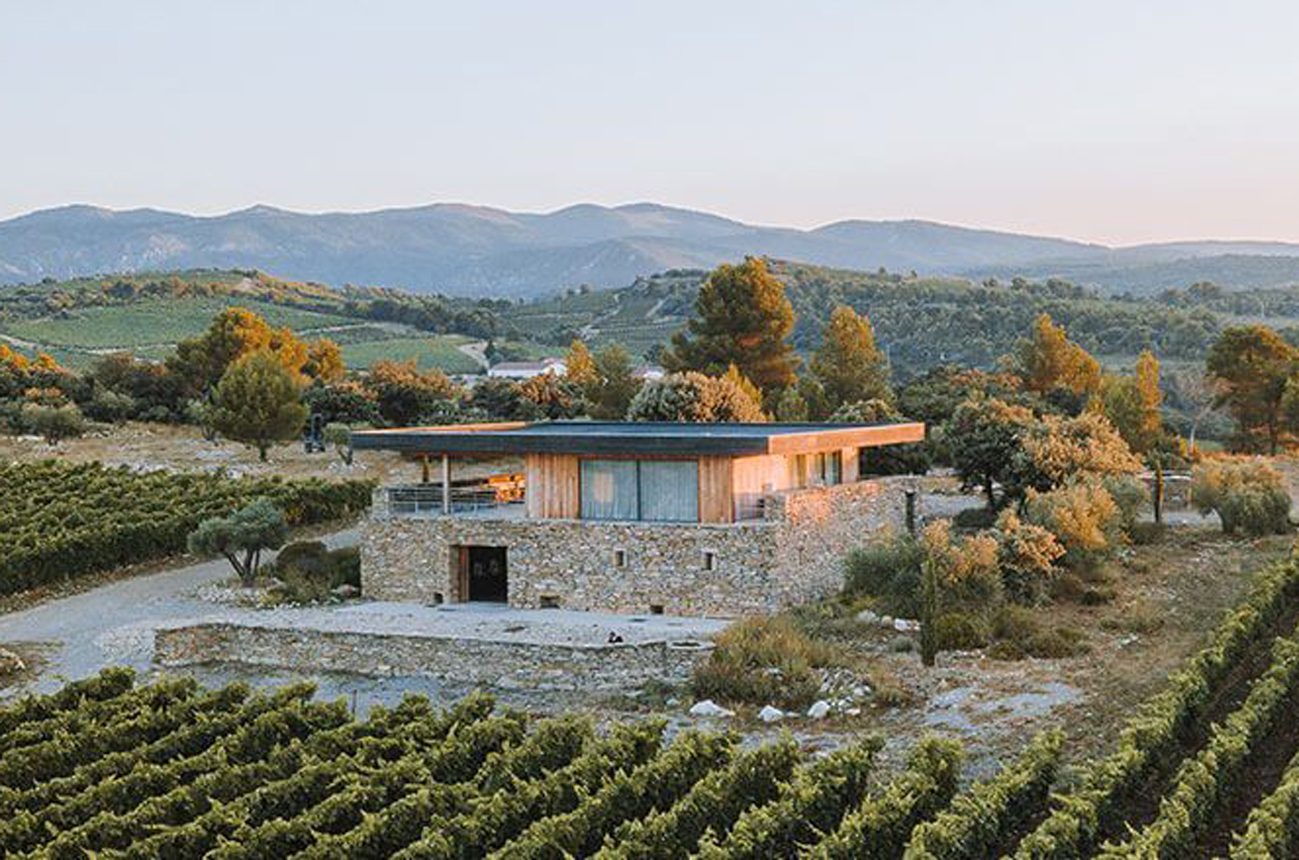 Gérard Bertrand Behind the Languedoc labels plus 10 wines tasted Taversham's Wine Auctioneers