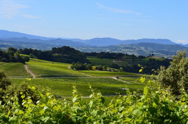 Cotes du Rhone Villages Nyons