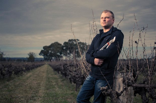 Dan Standish, Standish Wine Co