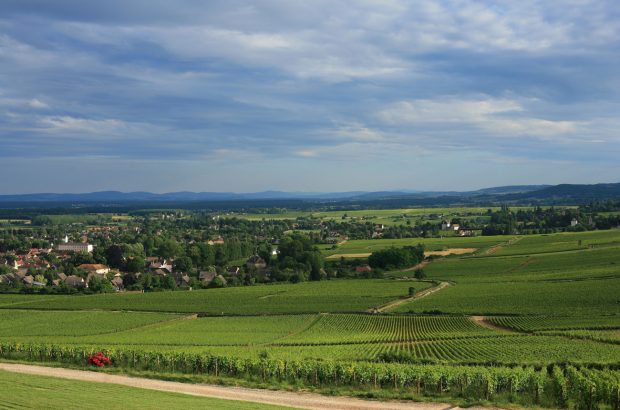 Givry vineyards, Cellier Aux Moines