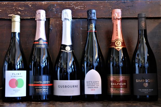 Grape Britannia DWWA 2021 mixed case of English wines