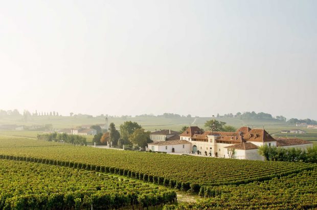 Chateau Angelus wines, St-Emilion