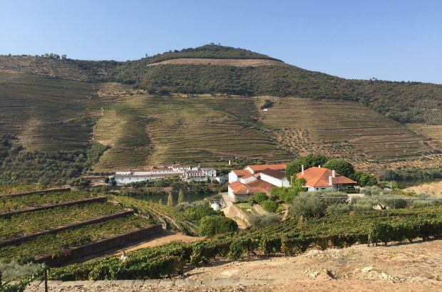 Port 2018 Vintage Report