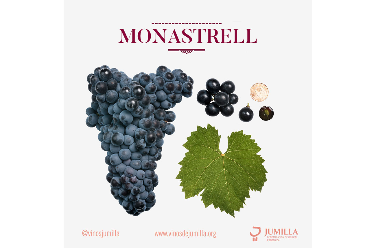 Jumilla Monastrell grapes